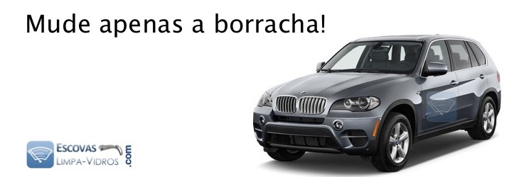 BMW X5 desde 2007